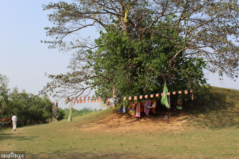 नक्कली रामग्राम स्तुप बनाएर भारतले गर्यो कूप्रचार