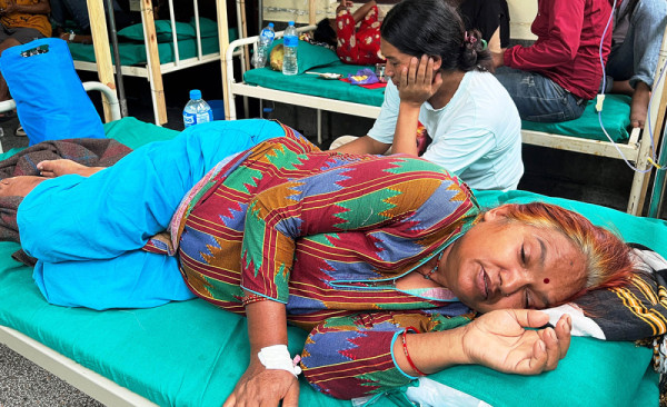 धरानमा डेंगी संक्रमण दर ७२ प्रतिशत कायमै