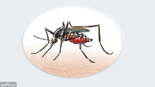 दार्चुलामा डेंगी संक्रमबाट बालिकाको मृत्यु